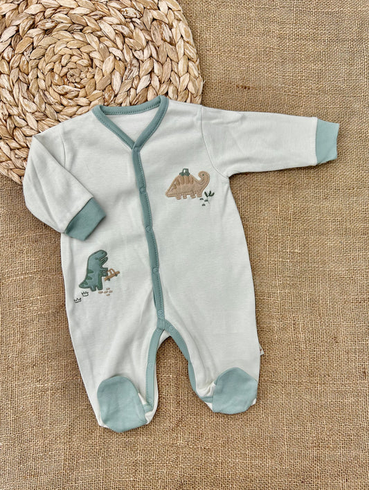 افرهول قطن ديناصور