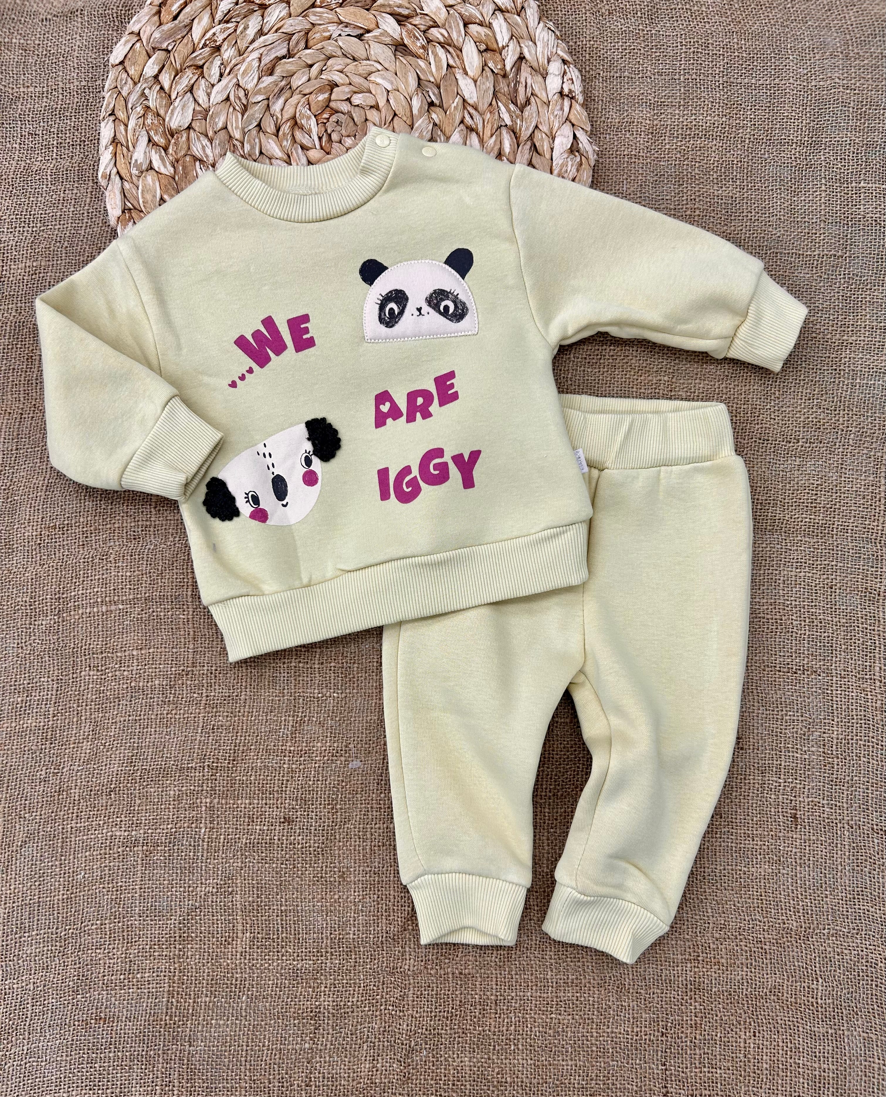 تريننغ فوتر باندا