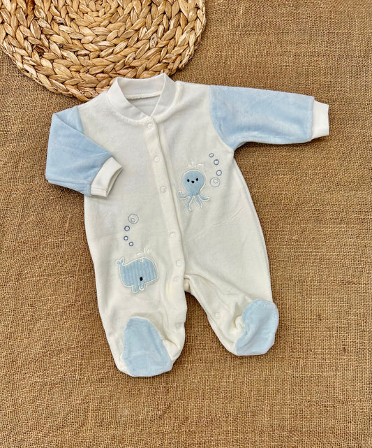 أفرهول مخمل حوت