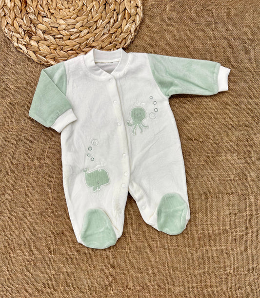 أفرهول مخمل حوت