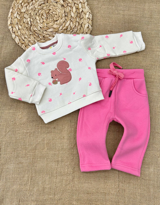 تريننغ فوتر سنجاب