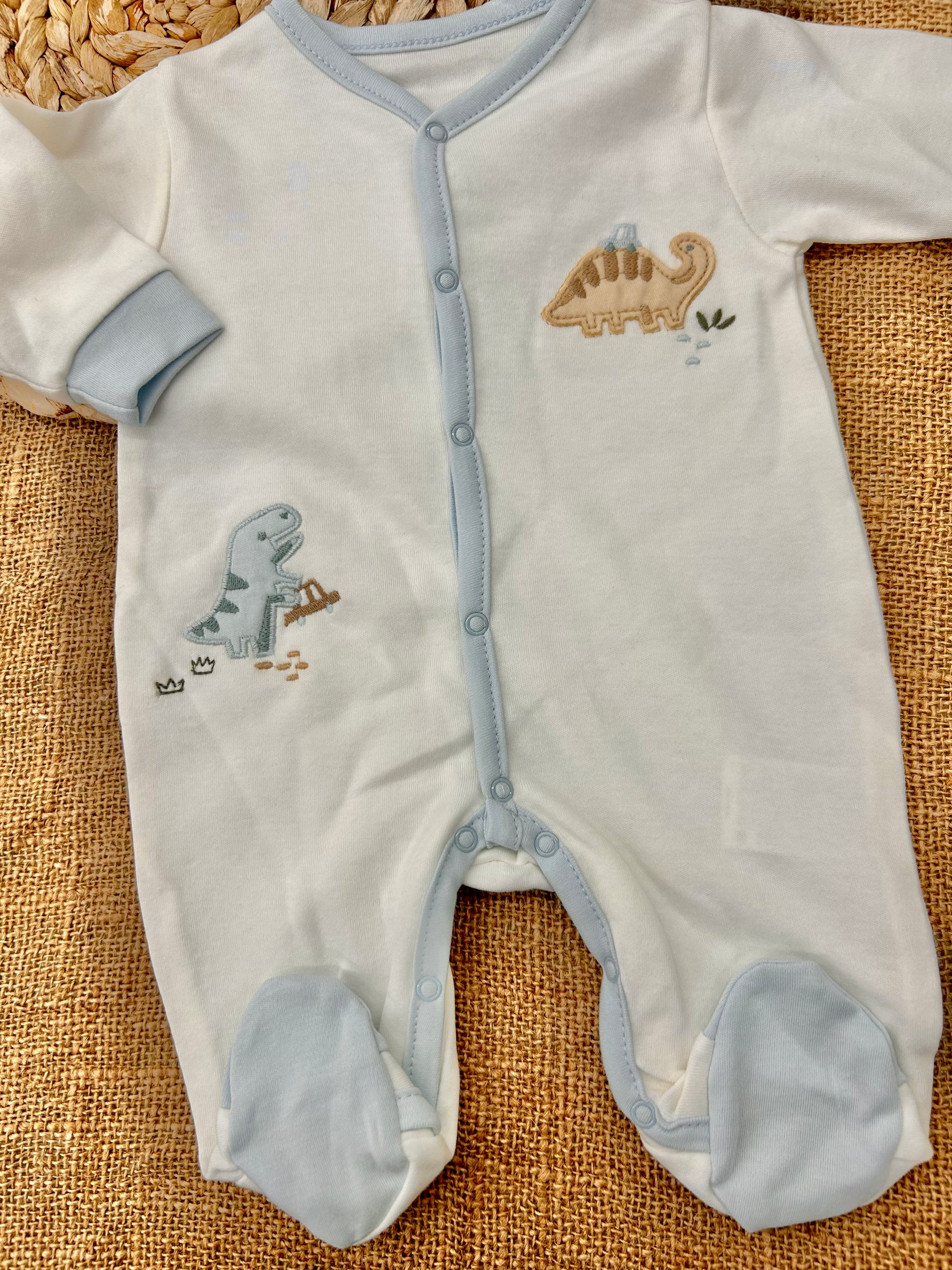 افرهول قطن ديناصور