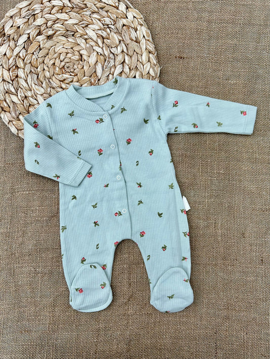 أفرهول قطن اشكال ورود