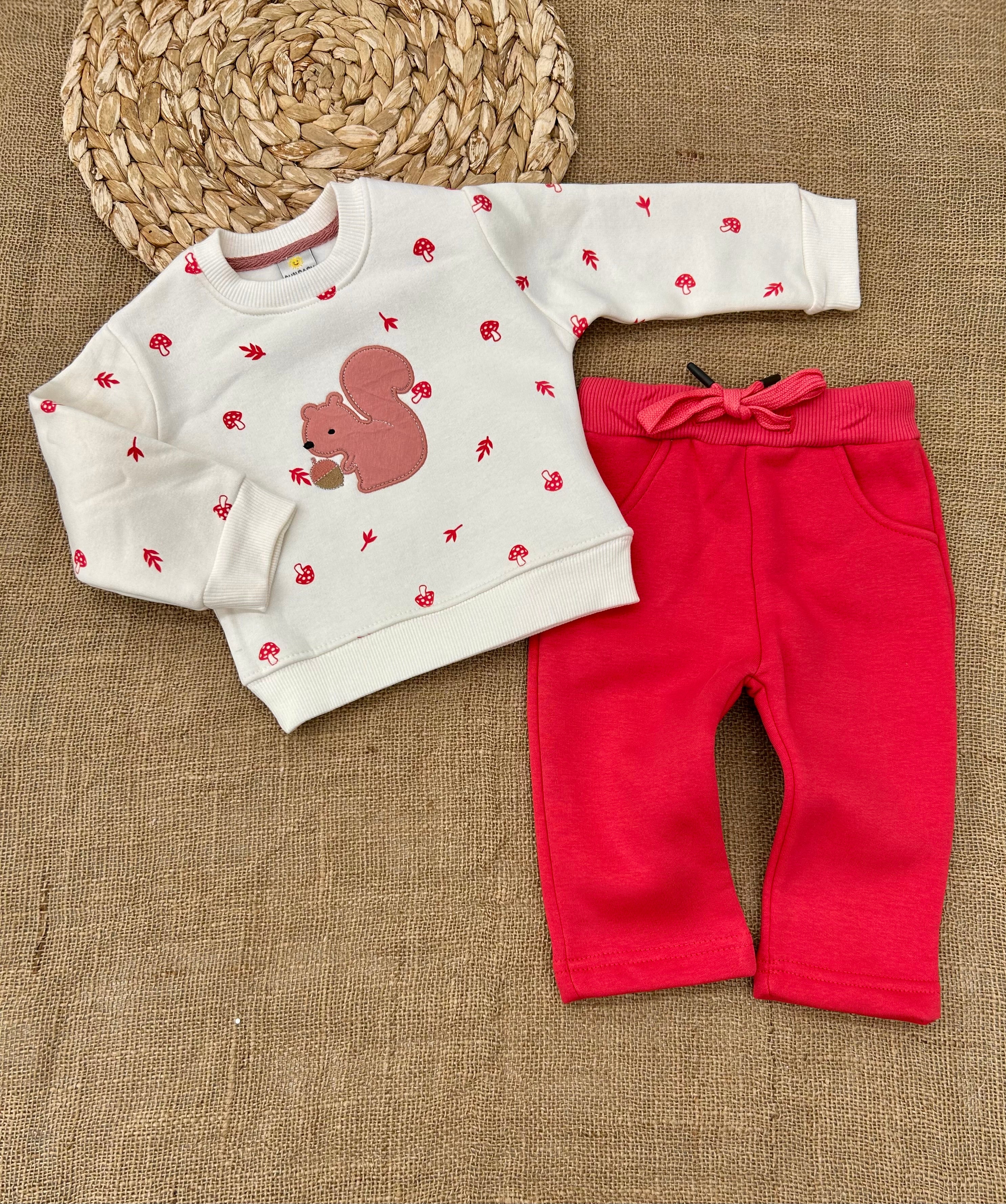 تريننغ فوتر سنجاب