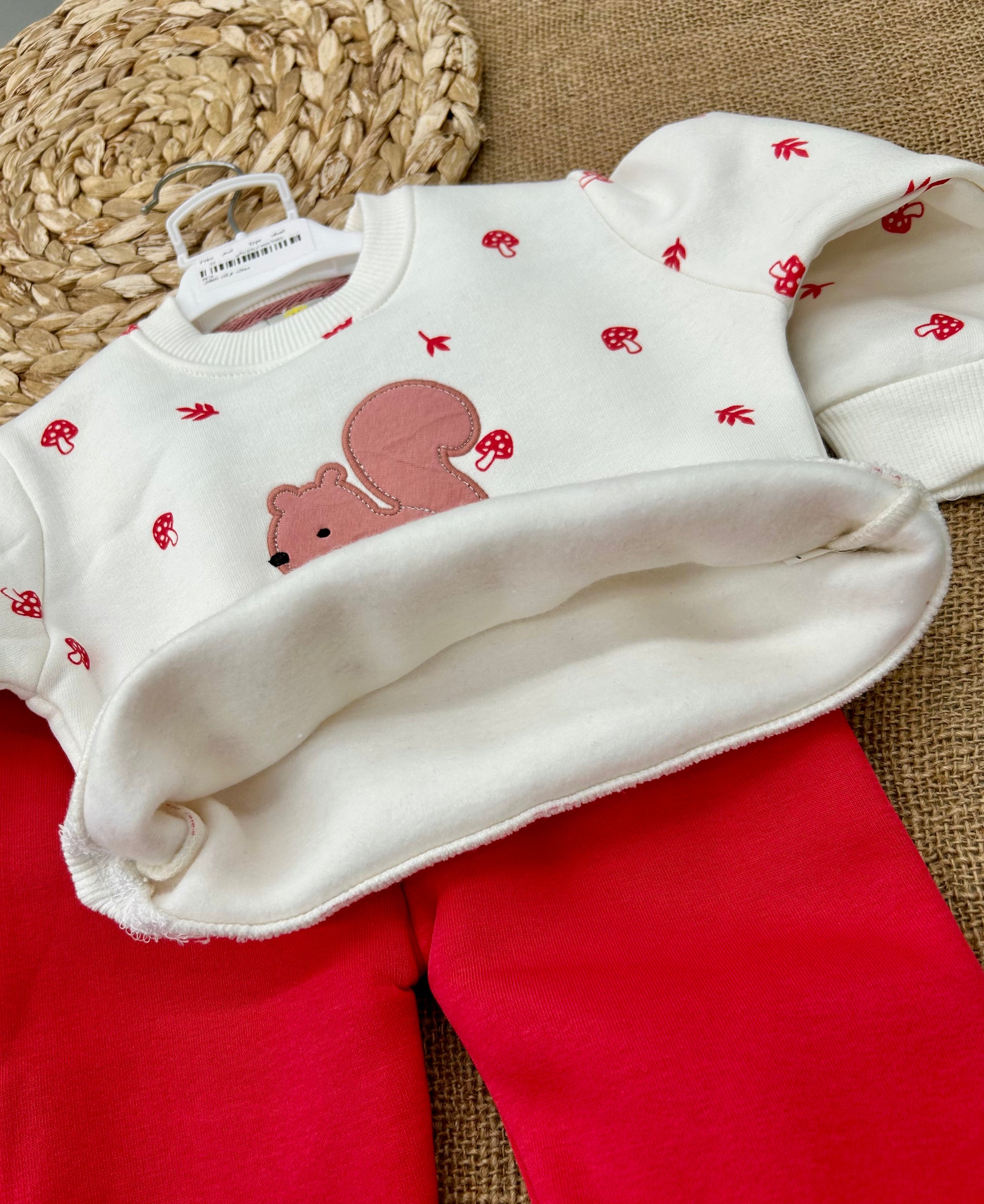 تريننغ فوتر سنجاب