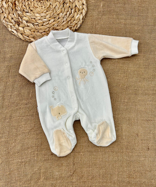 أفرهول مخمل حوت