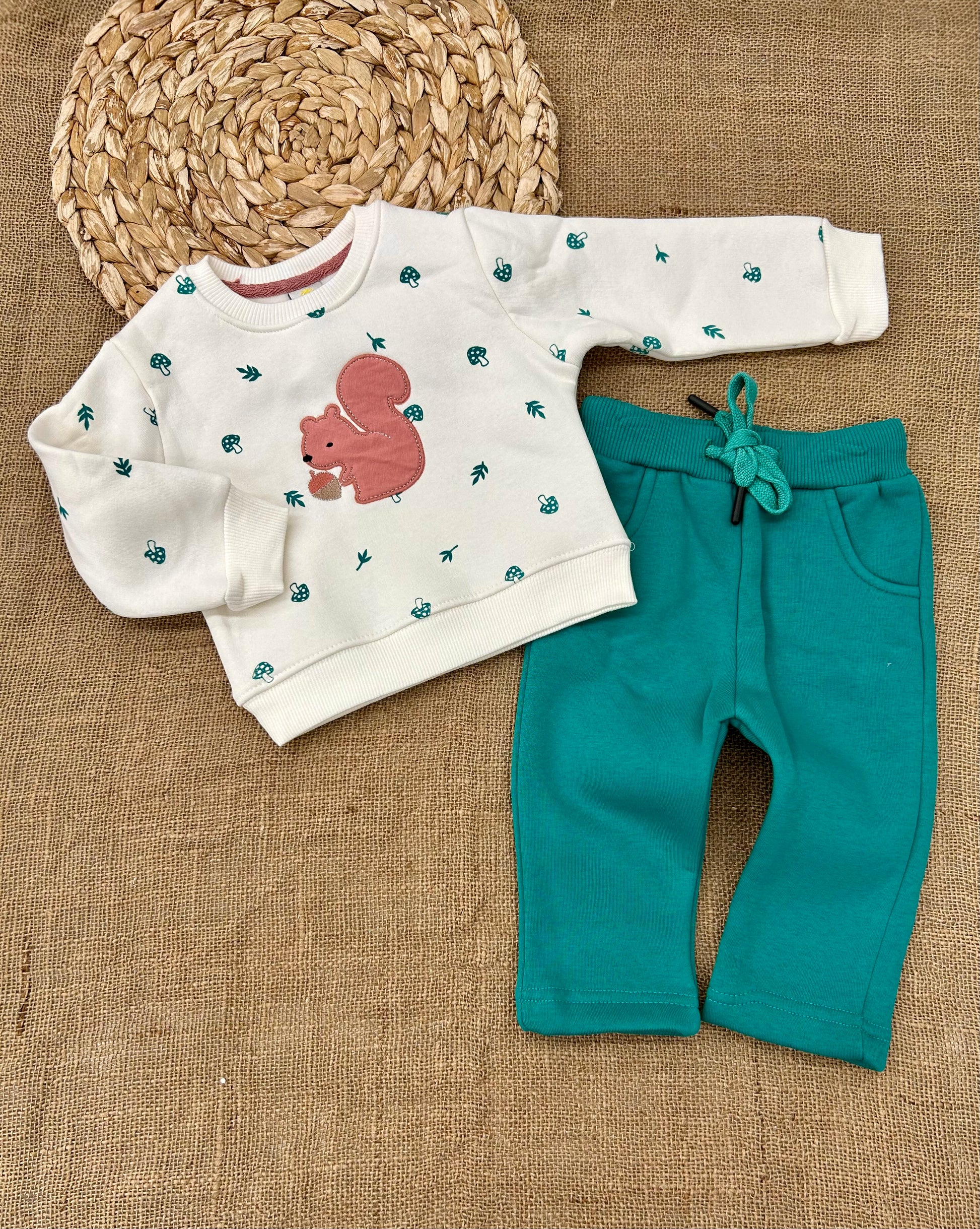 تريننغ فوتر سنجاب